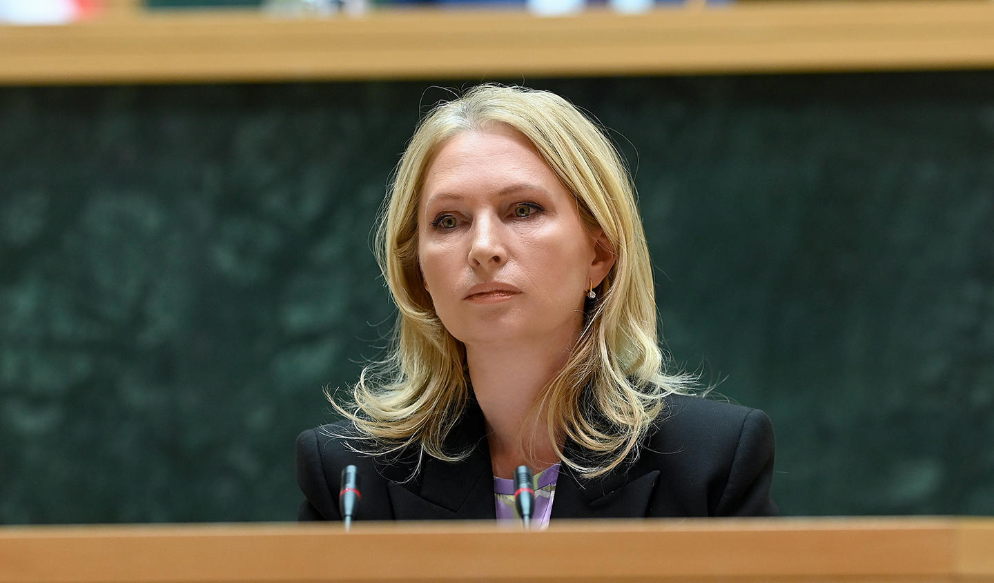 ნათია თურნავა - ველოდებით სტაბილურობას ყველა სეგმენტში, მათ შორის სავალუტო ბაზარზეც