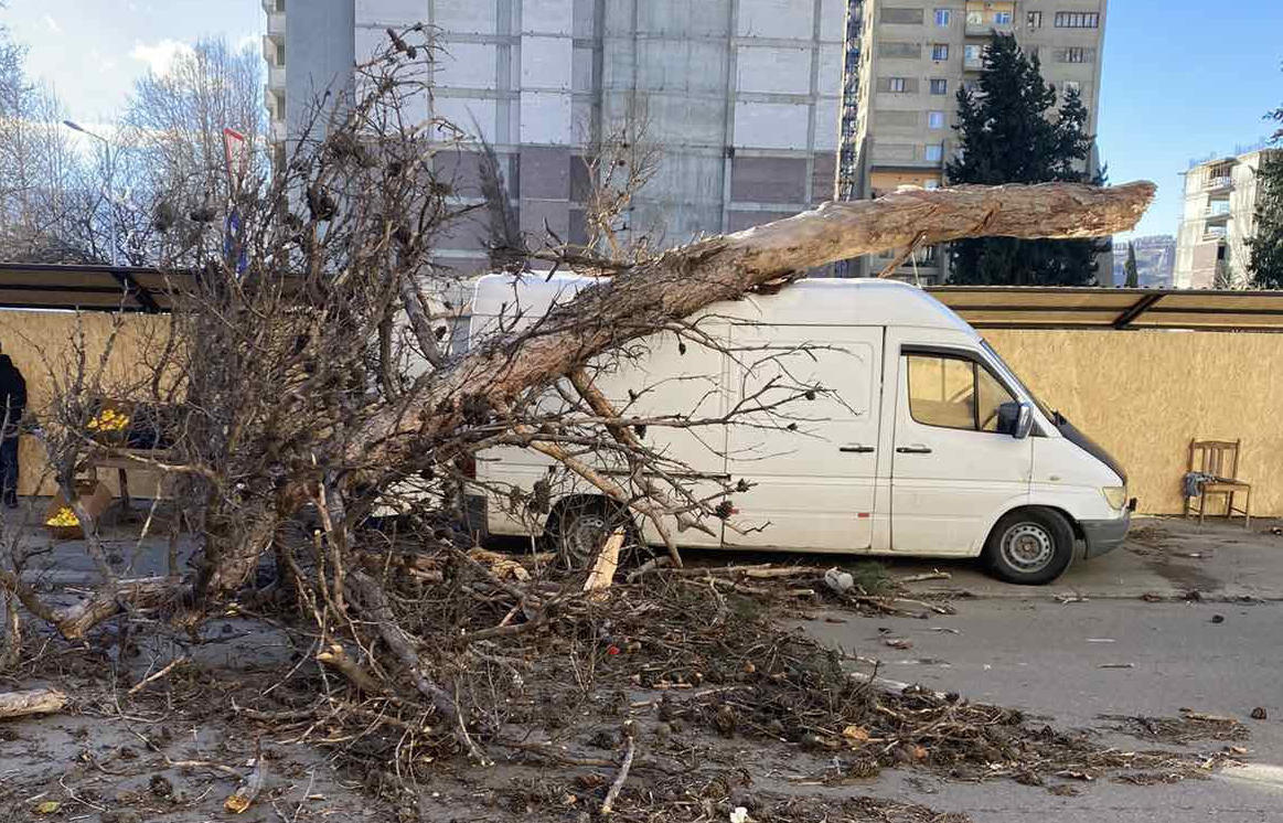 ძლიერმა ქარმა დედაქალაქში პრობლემები შექმნა - წაქცეული ხეები რამდენიმე ავტომობილს დაეცა და დააზიანა, ქარმა რამდენიმე კერძო სახლს სახურავები გადახადა