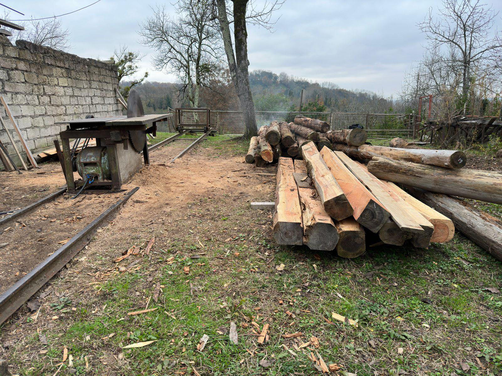 გარემოსდაცვითი ზედამხედველობის დეპარტამენტის თანამშრომლებმა 8 უკანონო სახერხი საამქრო გამოავლინეს