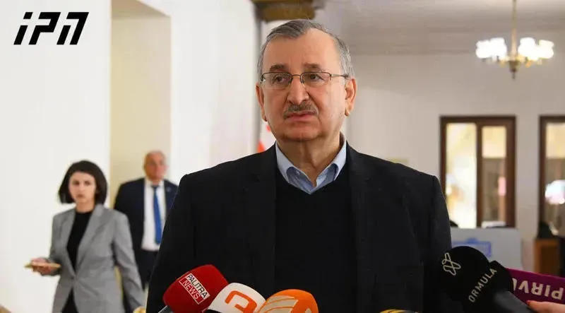 რომან გოცირიძე - რეფერენდუმზე კი არა, თვითმფრინავით დასავლეთში გაფრენაზე არ უწერს კობახიძე ხელს პრეზიდენტს