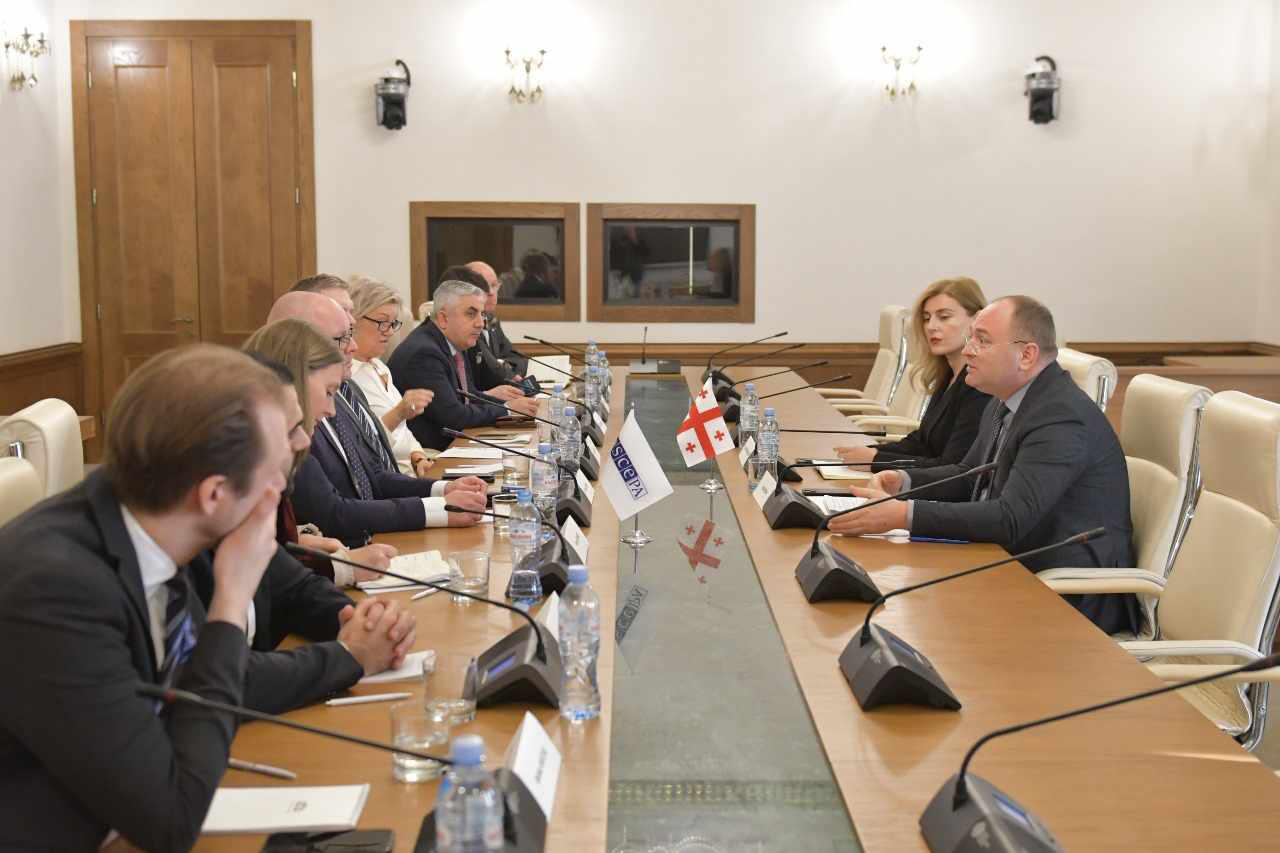 ირაკლი ბერაია ეუთო-ს საპარლამენტო ასამბლეაში შვედეთის დელეგაციის წევრებს შეხვდა