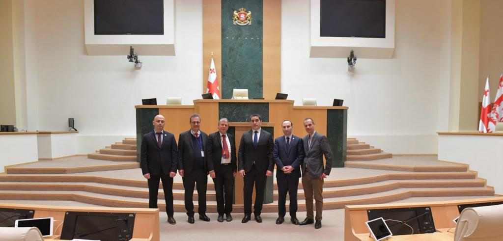 შალვა პაპუაშვილი ტიუბინგენისა და ჰუმბოლდტის უნივერსიტეტების პროფესორებს შეხვდა