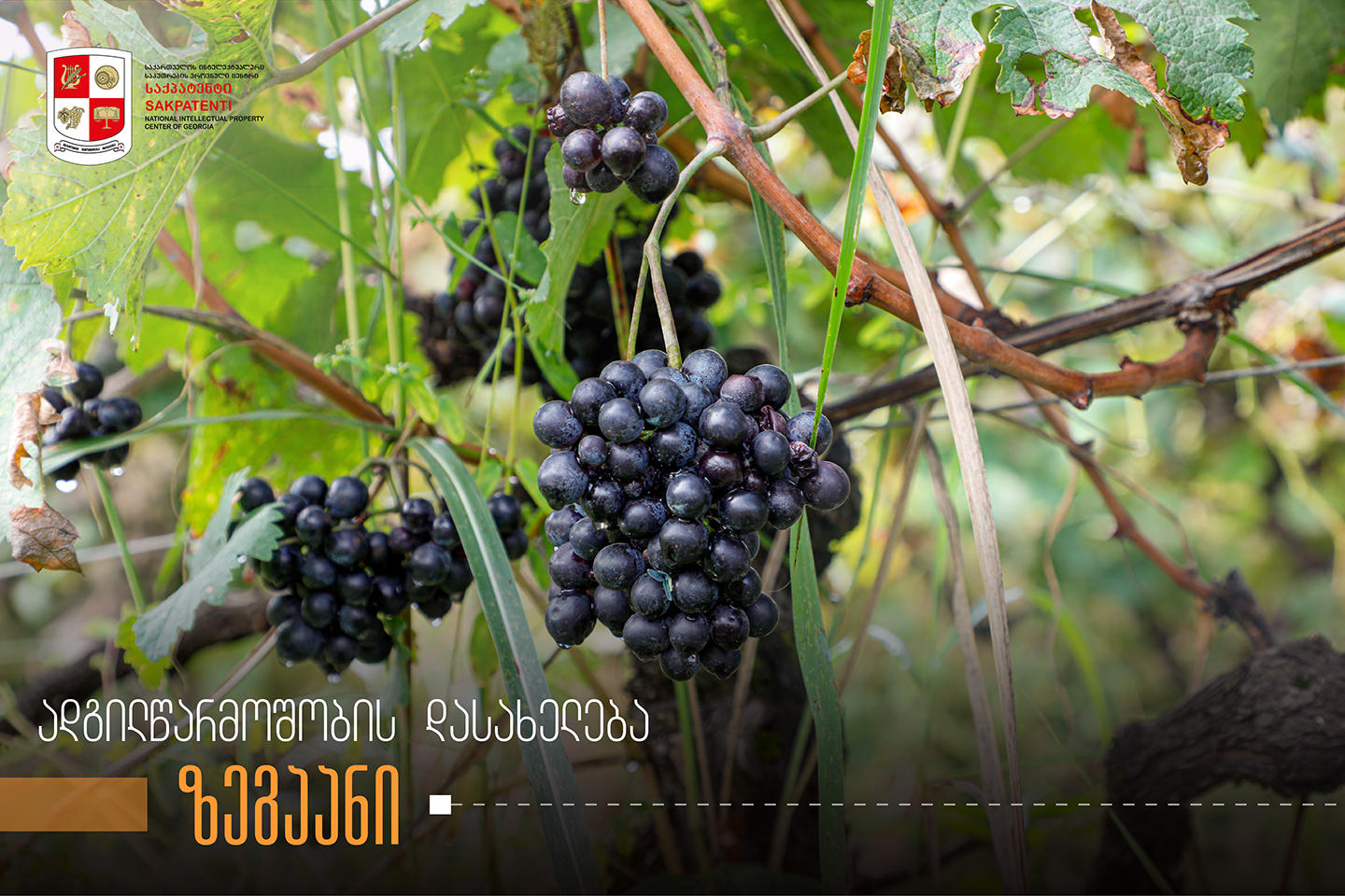 ადგილწარმოშობის დასახელება „ზეგაანი“ „საქპატენტში“ არის რეგისტრირებული