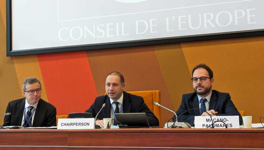 გივი მიქანაძე სტრასბურგის სასამართლოს გადაწყვეტილებების აღსრულების ქვეკომიტეტის თავმჯდომარედ მეორე ვადით აირჩიეს