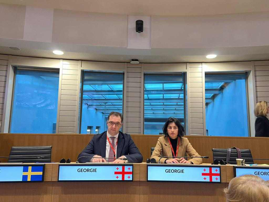 დავით სონღულაშვილმა ხელოვნური ინტელექტის შესახებ საპარლამენტთაშორისო კონფერენციაში მიიღო მონაწილეობა