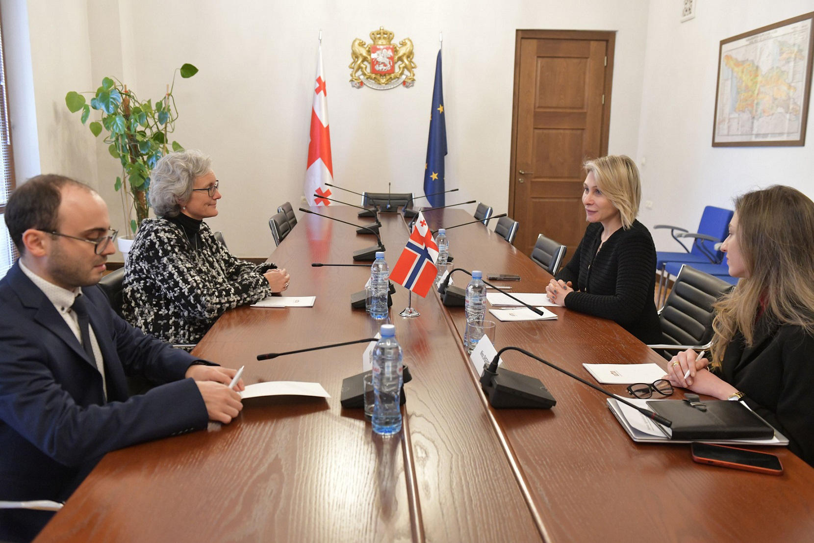 ნინო წილოსანი ნორვეგიის სამეფოს ელჩს შეხვდა