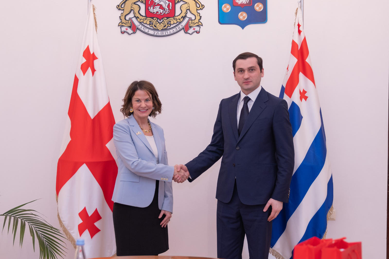 თორნიკე რიჟვაძე ამერიკის შეერთებული შტატების საგანგებო და სრულუფლებიან ელჩს საქართველოში რობინ დანიგანს შეხვდა