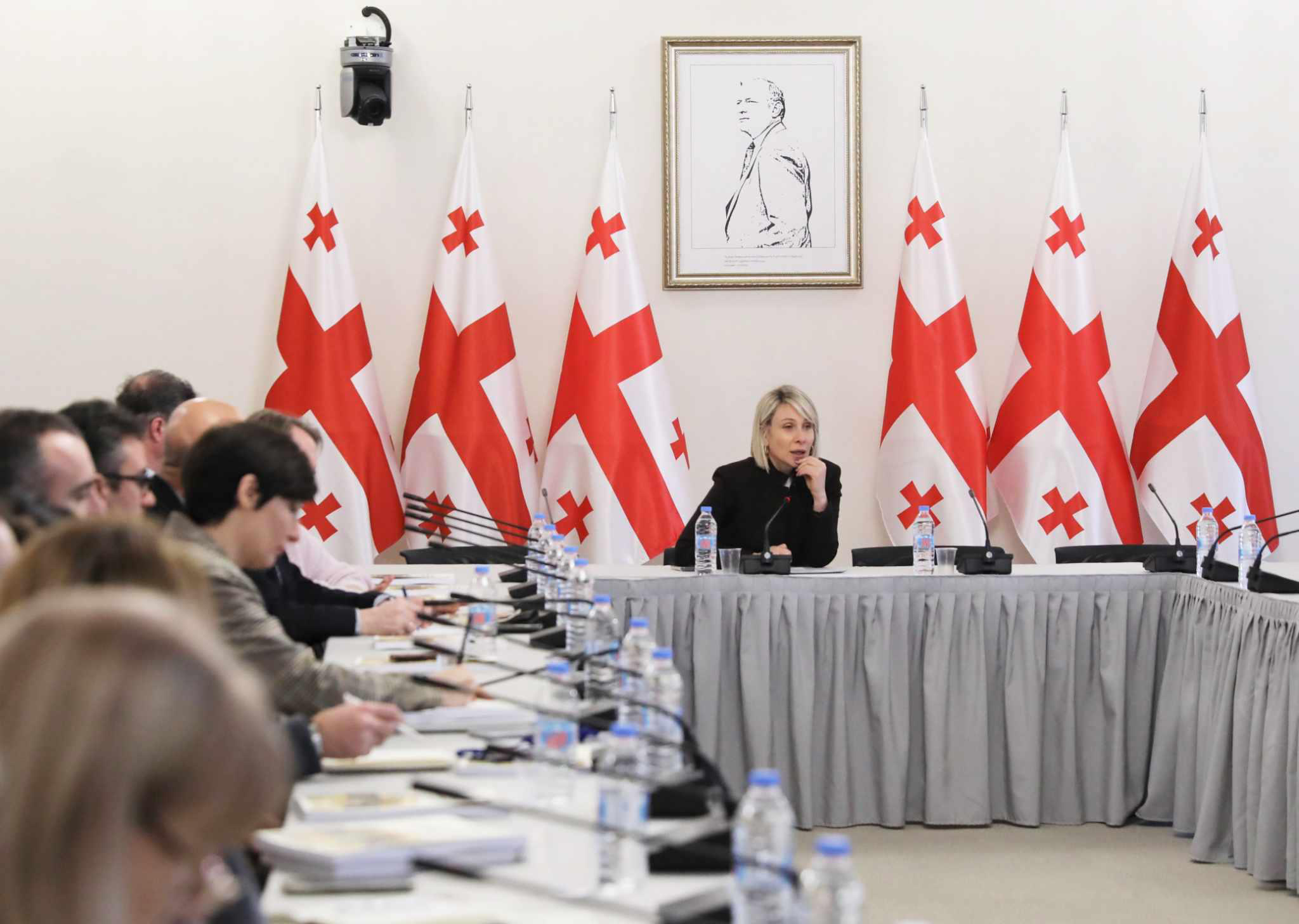 პარლამენტის აგრარულ საკითხთა კომიტეტთან არსებულ საკონსულტაციო საბჭოს სხდომაზე 2024 წლის სამოქმედო გეგმაზე იმსჯელეს