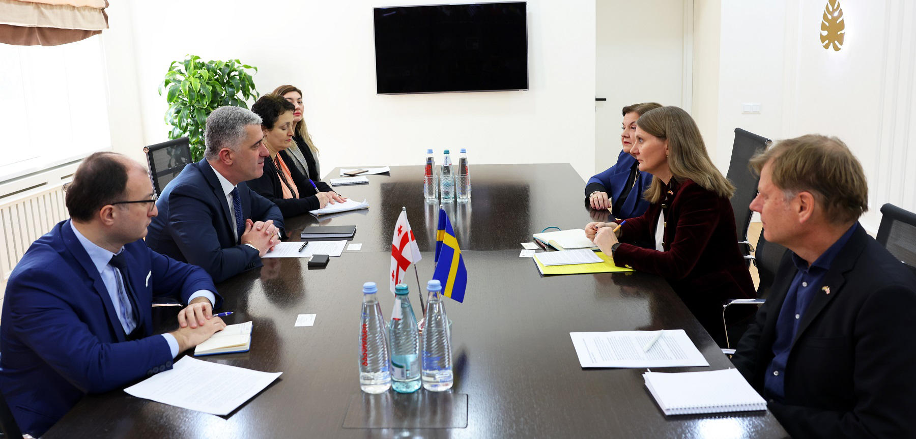 ოთარ შამუგია შვედეთის სამეფოს საგანგებო და სრულუფლებიან ელჩს შეხვდა