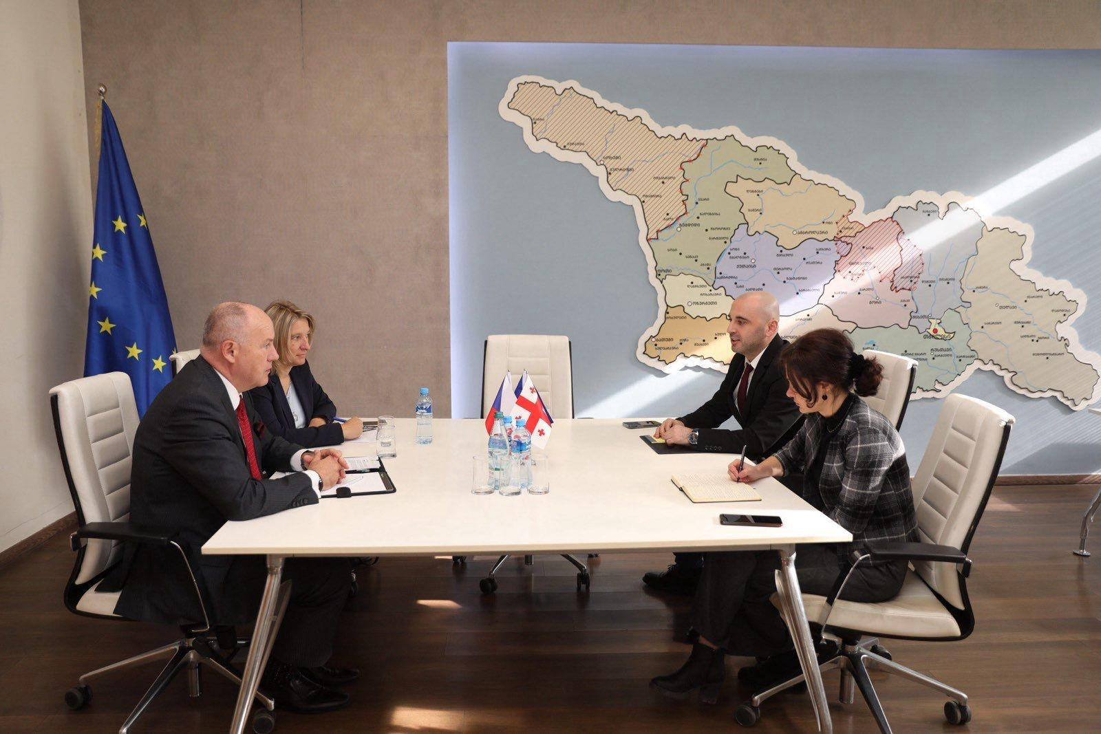 ლევან ხაბეიშვილი ჩეხეთის ელჩს შეხვდა