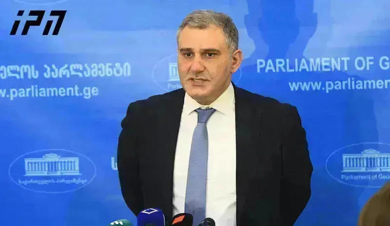 მიხეილ სარჯველაძე - პატარა ბავშვს რომ აღმოაჩენენ „დახუჭობანას“ თამაშისას და ის მაინც ცდილობს არ გამოვიდეს სამალავიდან, დაახლოებით, ამ მდგომარეობაშია ზურაბიშვილი - ცდილობენ, პლაცდარმი მოუმზადონ სააკაშვილის შეწყალებისთვის