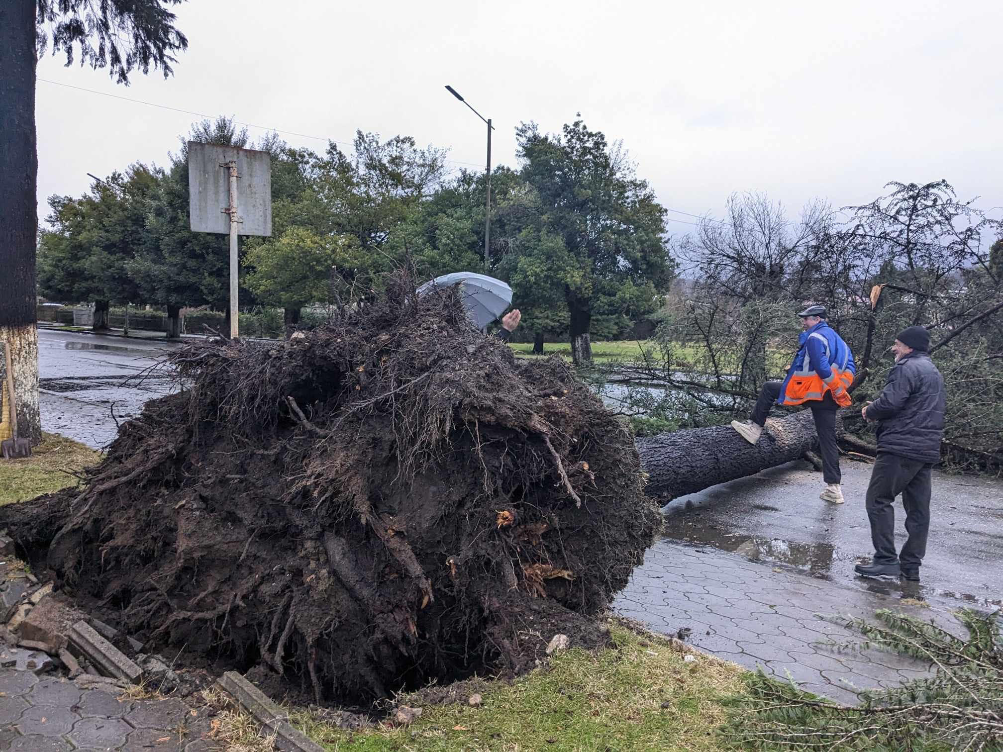 ძლიერმა ქარმა წალენჯიხაში საცხოვრებელი სახლები დააზიანა, მოგლიჯა ხეები, გზებზე მოძრაობა შეიზღუდა