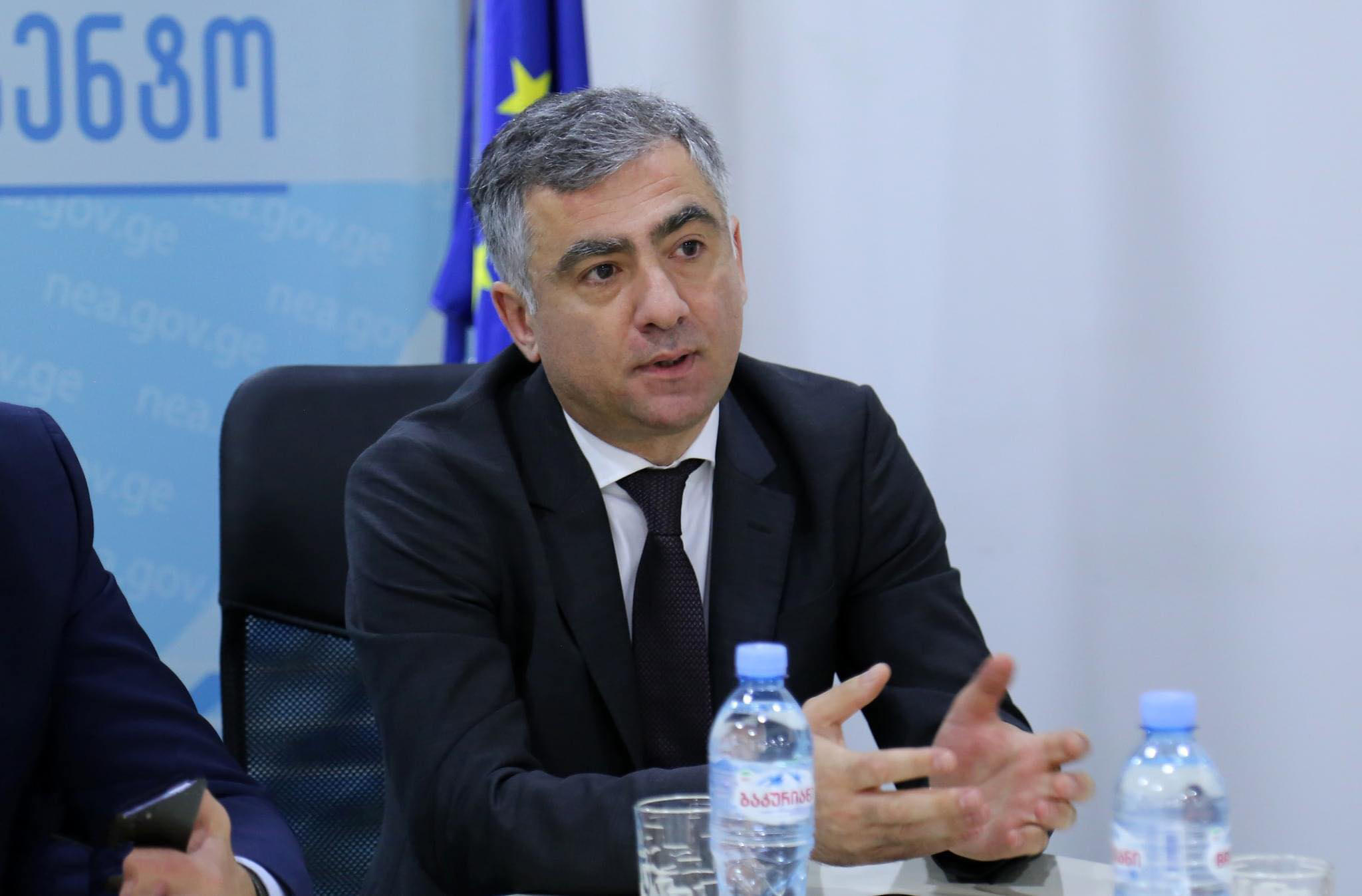 გარემოს ეროვნული სააგენტოს უფროსი - ბაღდათში მეწყერი განვითარდა მყისიერად, პრაქტიკულად, შეუძლებელი იყო ამ მოვლენის თავიდან აცილება