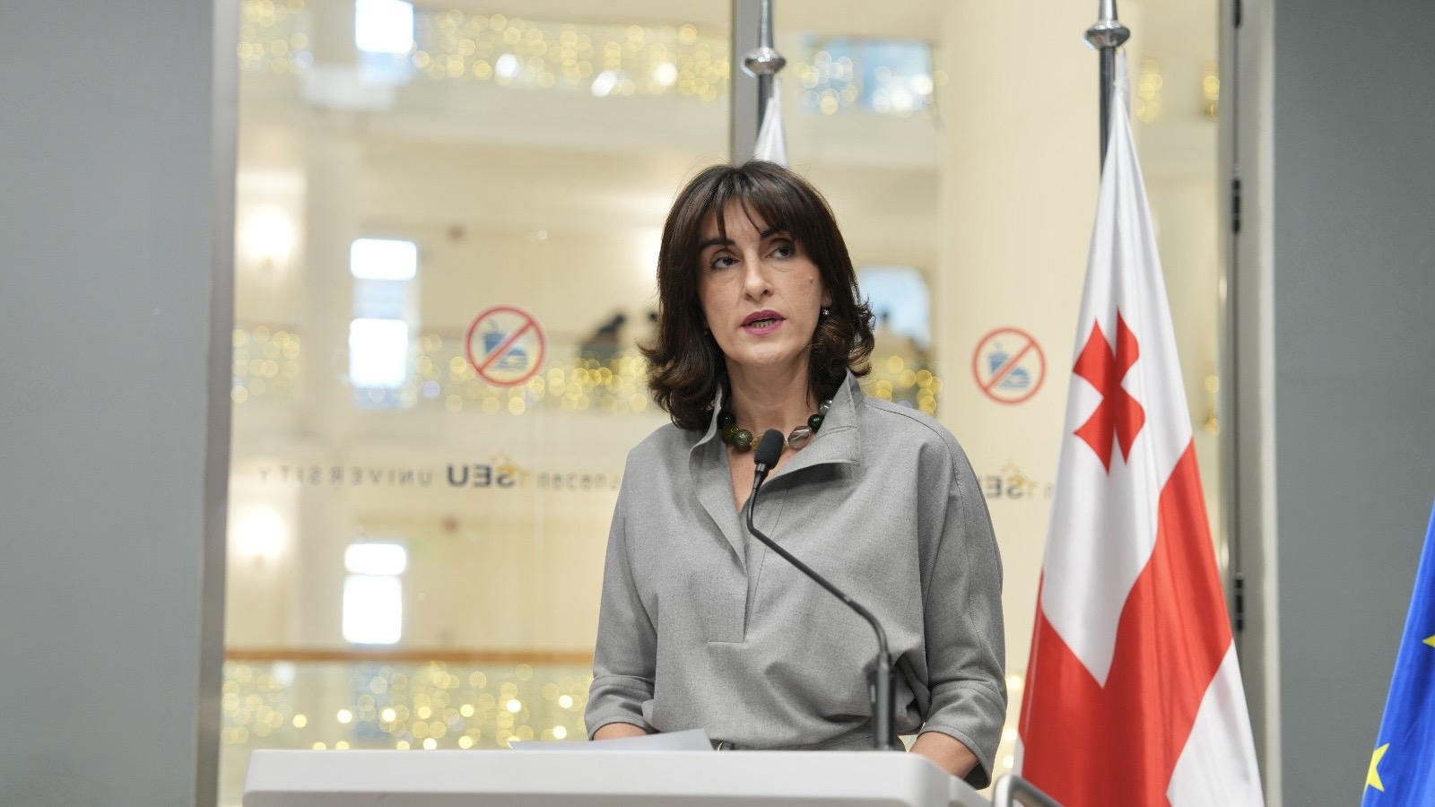 მაკა ბოჭორიშვილმა ევროინტეგრაციის საკითხზე საქართველოს ეროვნული უნივერსიტეტის მიერ (SEU) ორგანიზებულ კონფერენციაში მიიღო მონაწილეობა