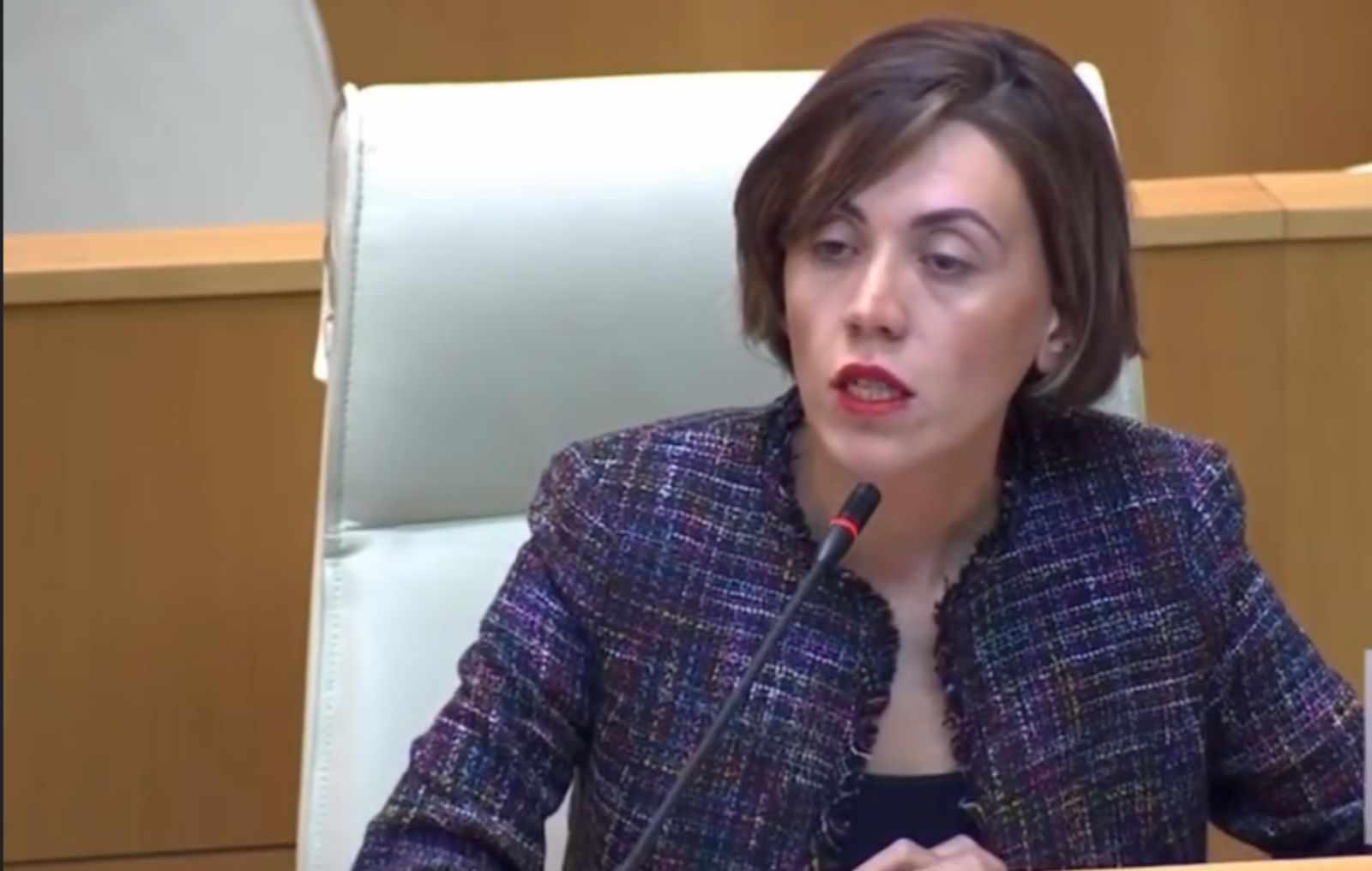 ანა წითლიძე ოხანაშვილს - გუშინ დაგიფასდათ დეპუტატების გამოყრა კომიტეტიდან და ბიძინა ივანიშვილთან ახლოს დაგაყენეს -  ძალიან მკაფიოდ თქვა ბელადმა, რომ თქვენ მონურად ყველა შეასრულებთ დავალებებს