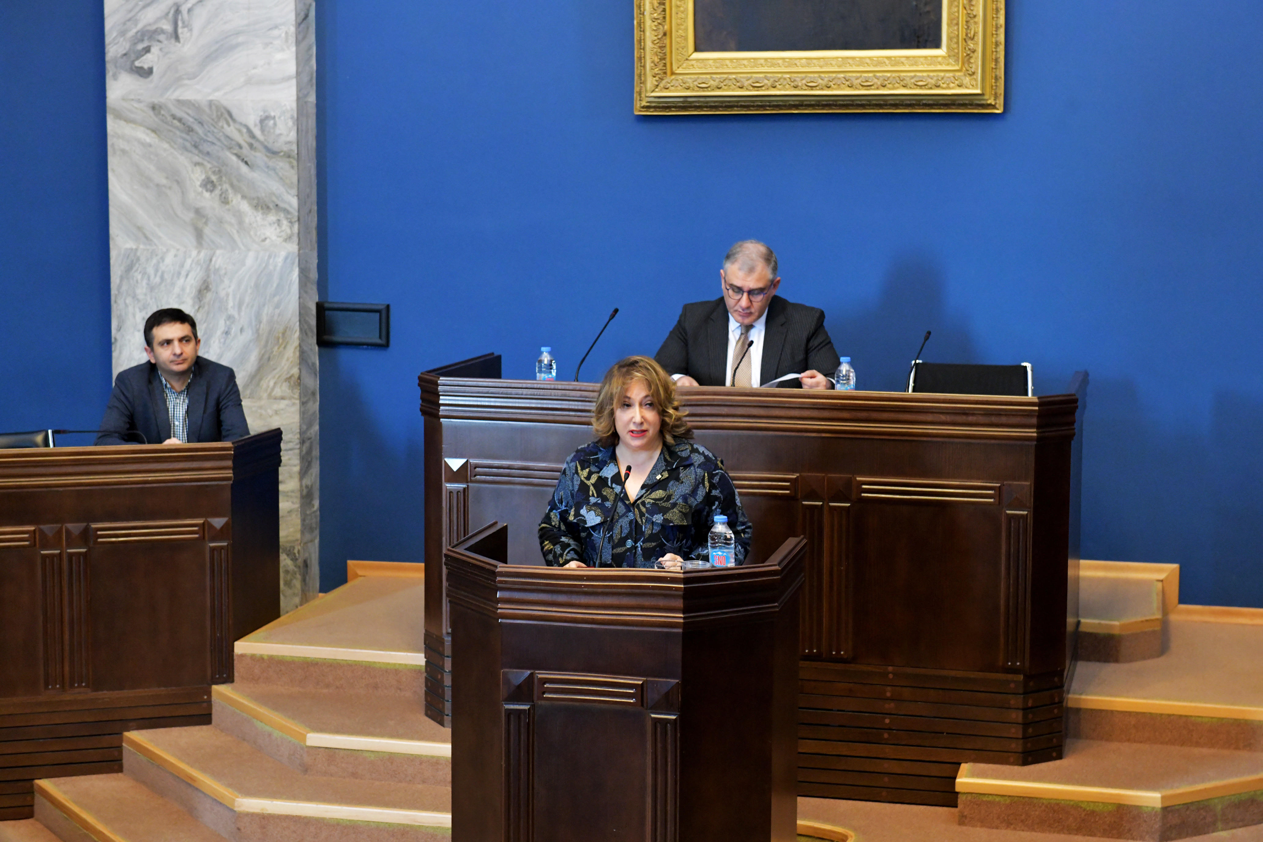 ლელა ჯანაშვილმა პარლამენტის ადამიანის უფლებათა დაცვისა და სამოქალაქო ინტეგრაციის კომიტეტს ახალი კანონის იმპლემენტაციის შესახებ ანგარიში წარუდგინა