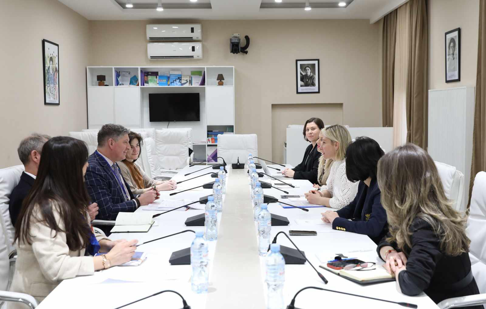 ნინო წილოსანი საქართველოში ევროკავშირის წარმომადგენლობის  განვითარების და თანამშრომლობის განყოფილების ხელმძღვანელს შეხვდა