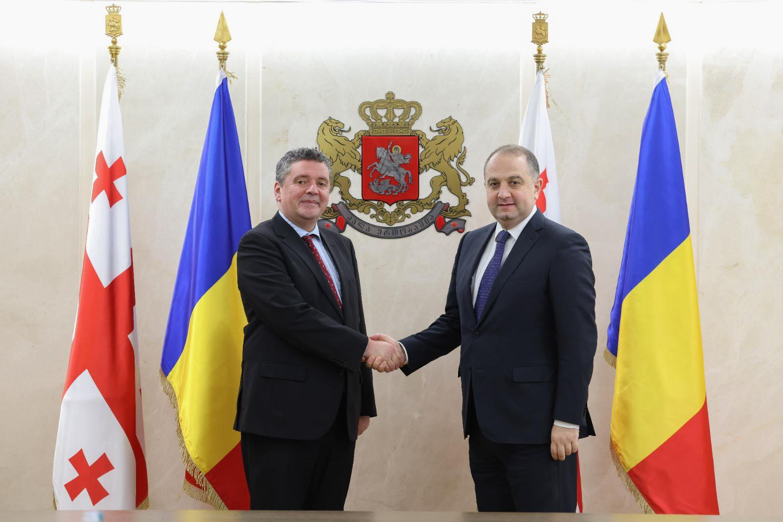 თავდაცვის მინისტრი რუმინელ დიპლომატებს შეხვდა