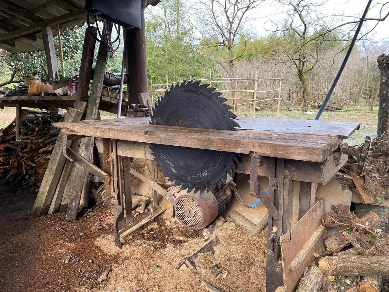 გარემოსდაცვითი ზედამხედველობის დეპარტამენტის თანამშრომლებმა სამეგრელოში 7 უკანონო სახერხი საამქრო გამოავლინეს