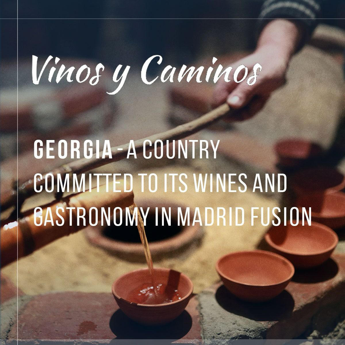 ესპანური ღვინის გამოცემა Vinos Y Camino საქართველოს ტურისტული პოტენციალის შესახებ