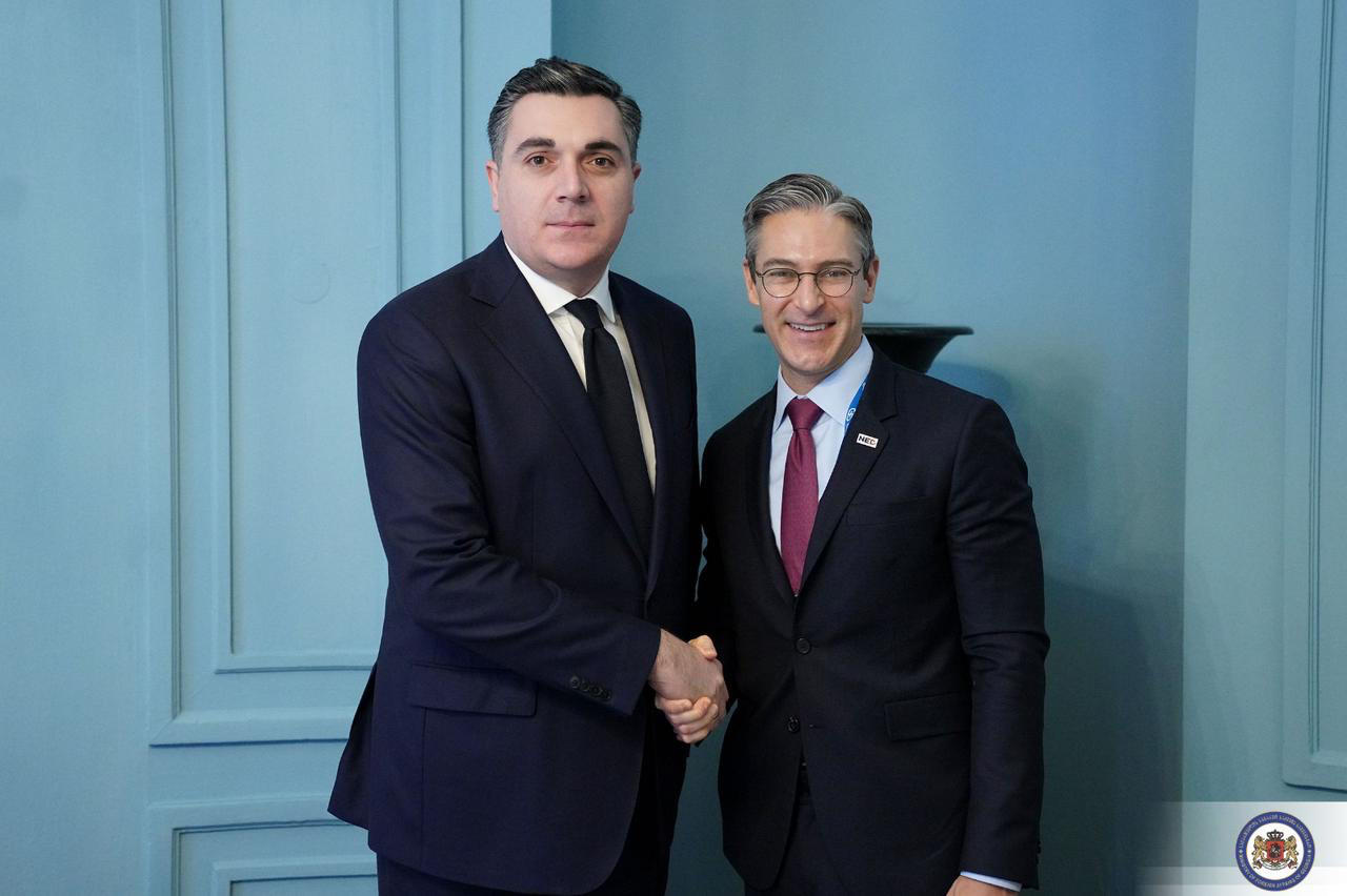ილია დარჩიაშვილი დემოკრატიის ეროვნული  ფონდის დირექტორს შეხვდა
