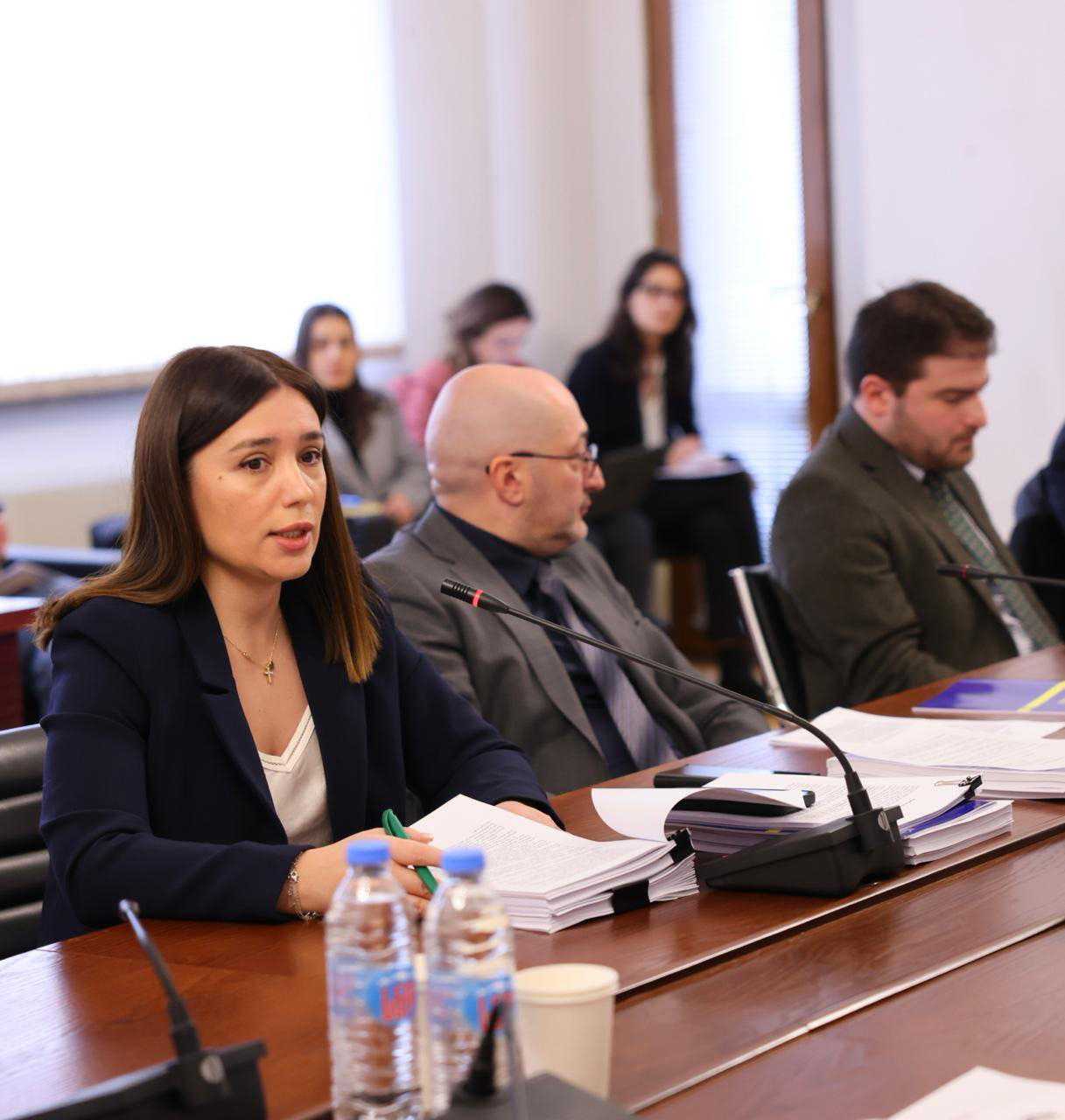 ნინო თანდილაშვილმა გურიაში ეროვნული პარკის შექმნის კანონპროექტი პარლამენტში წარადგინა