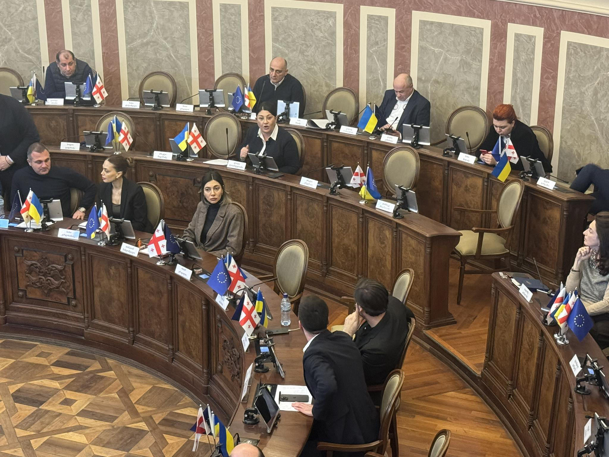 საკრებულოს სხდომაზე ხმაური იყო