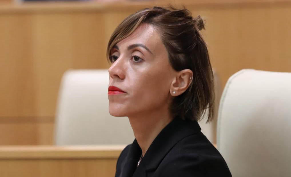 „ნაციონალური მოძრაობა“ ინიციატივით გამოდის, შეიქმნას ენების გადარჩენისა და პოპულარიზაციის სახელმწიფო პროგრამა