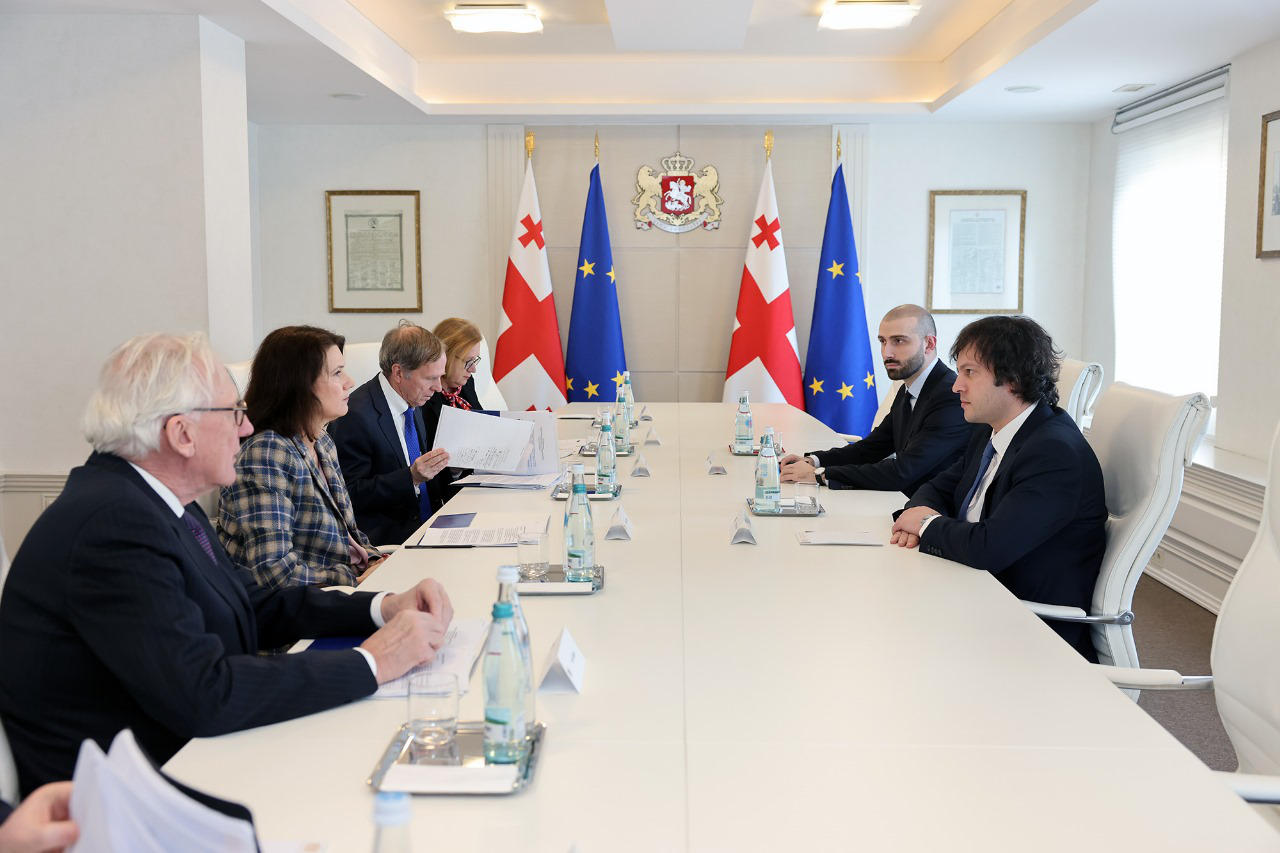 საქართველოს პრემიერ-მინისტრი NDI-ის წინასაარჩევნო საერთაშორისო სადამკვირვებლო მისიის წარმომადგენლებს შეხვდა