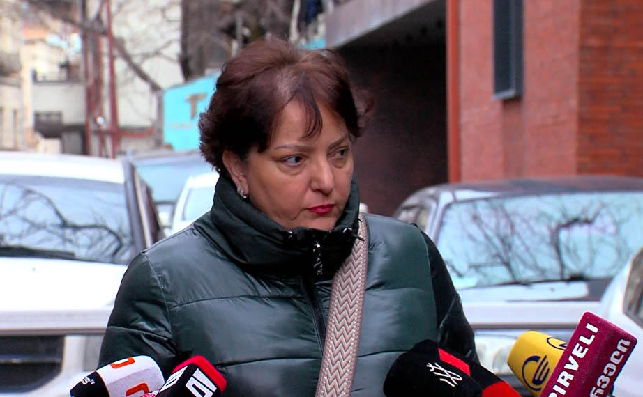 თინა ხიდაშელის ინფორმაციით, პრეზიდენტთან გამართულ შეხვედრაზე აზრები გაცვალეს, პოზიციები შეაჯერეს და ამ ეტაპზე, რაიმე კონკრეტულ დოკუმენტზე საუბარი არ ყოფილა