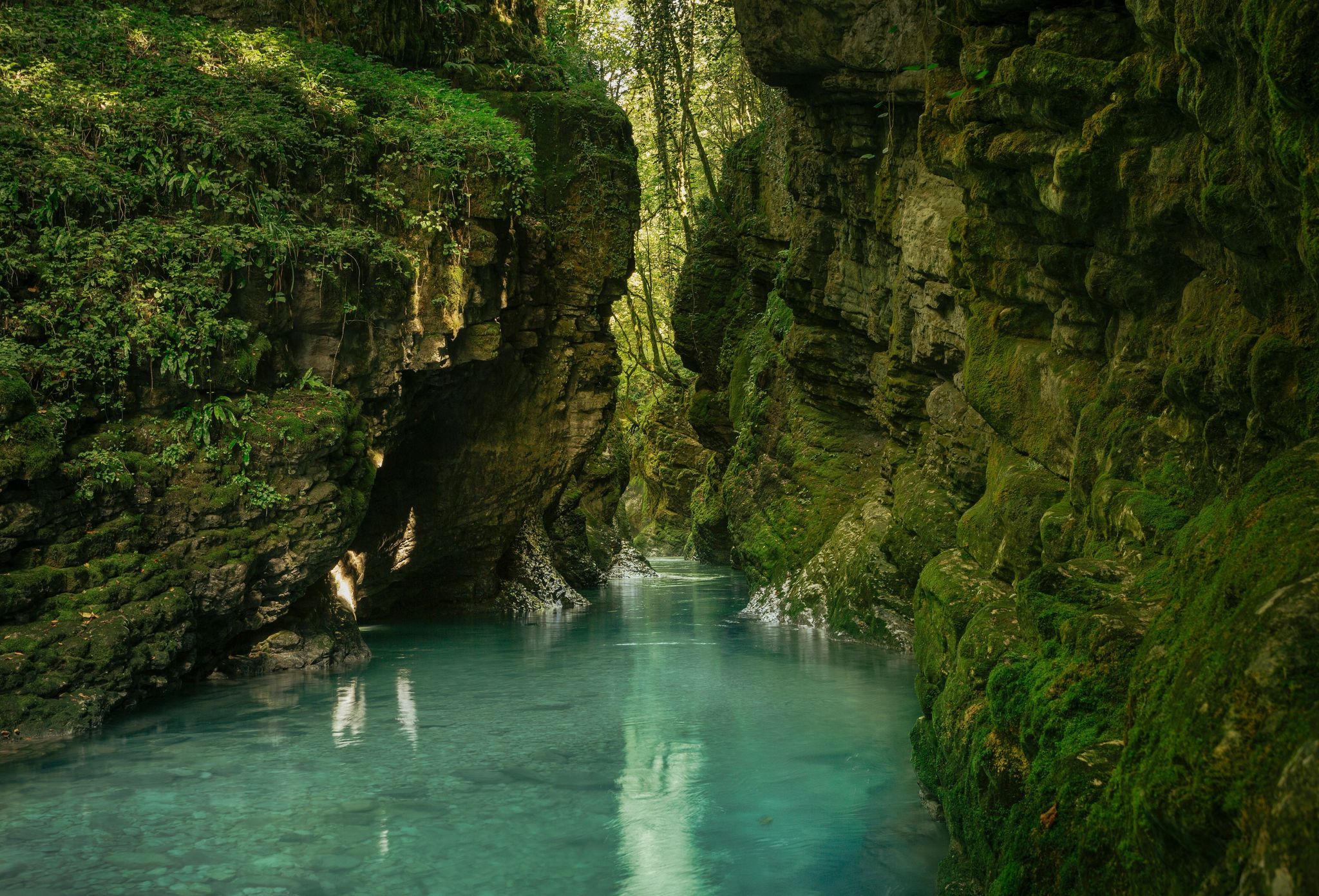 ბალდის კანიონის ტერიტორიაზე ბიომრავალფეროვნებაზე ზემოქმედების შეფასება მოხდება