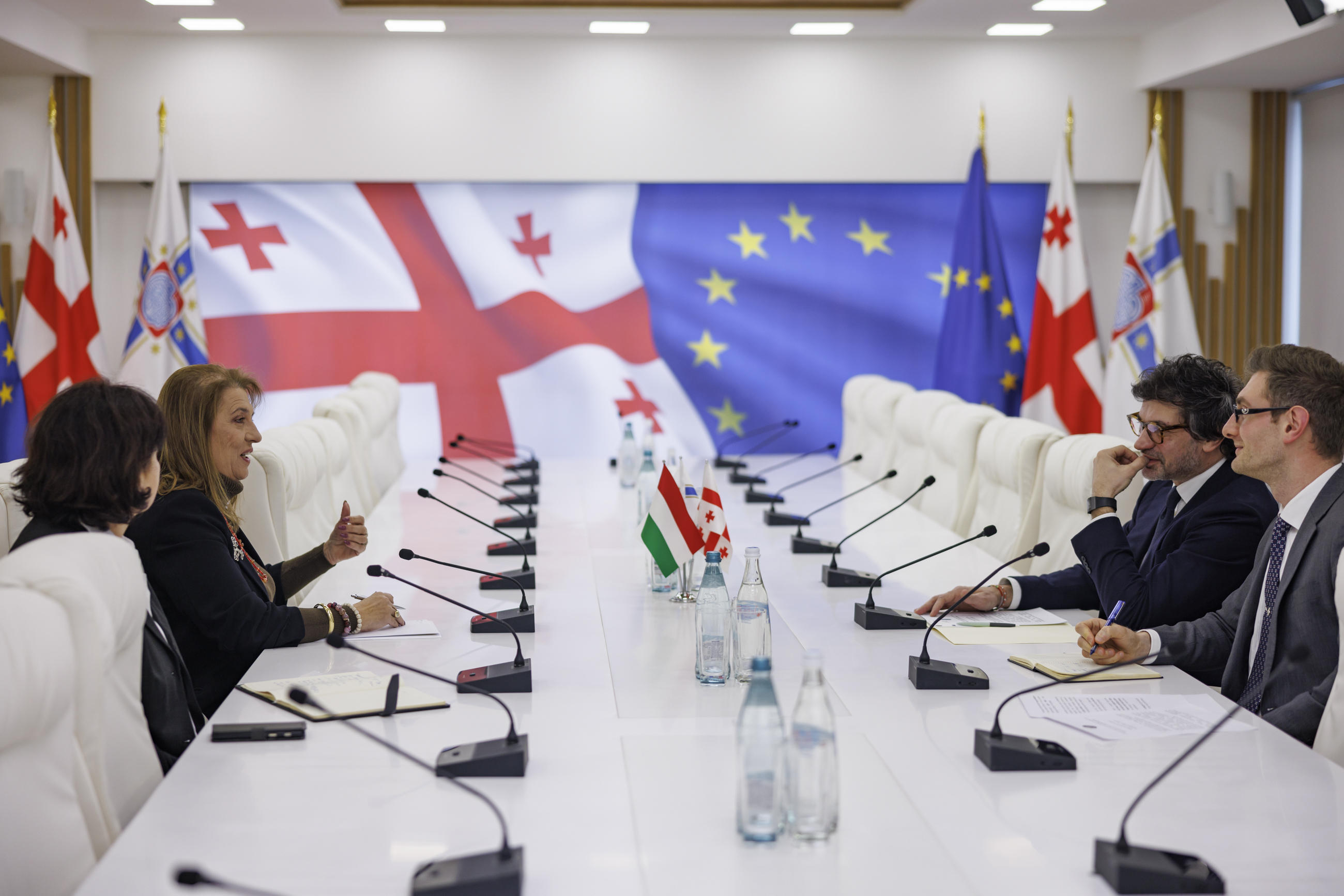 თბილისის მერმა უნგრეთის ელჩთან გაცნობითი ხასიათის შეხვედრა გამართა