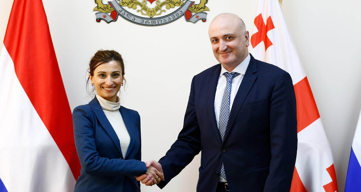 ზურაბ აზარაშვილი ნიდერლანდების სამეფოს ელჩს შეხვდა