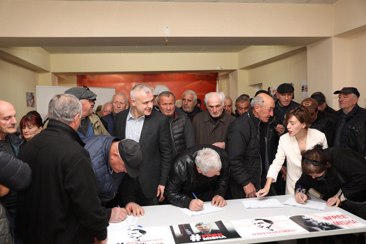 ანა წითლიძე - მიხეილ სააკაშვილის გათავისუფლების მოთხოვნით  რიგი დგას - ეს უნდა იყოს დამატებითი მოტივაცია პრეზიდენტისთვის, რომ გაათავისუფლოს