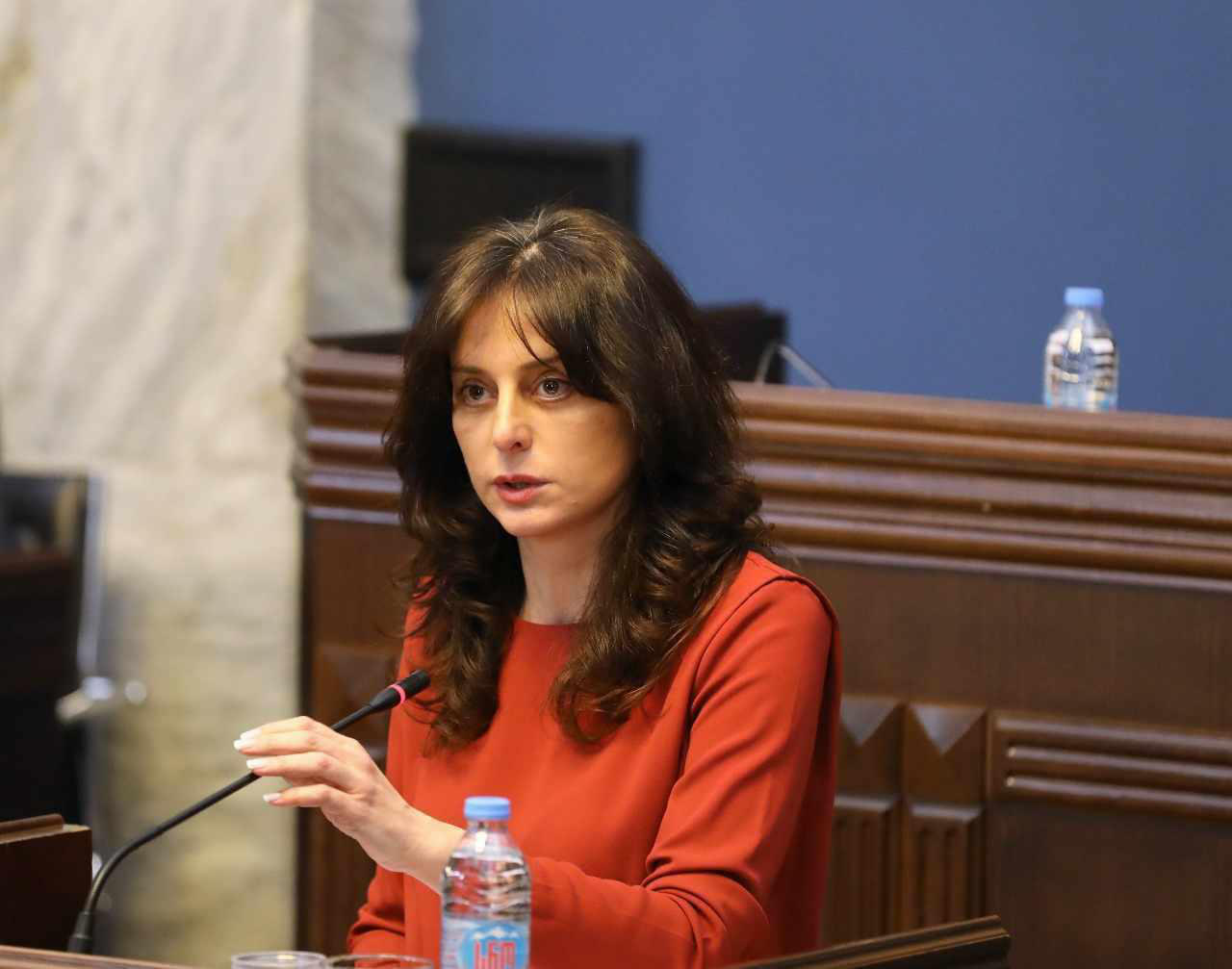 მაია ბითაძე - პოტენციურად მომატებული საფრთხის შემცველი ძაღლის ყოლის უფლება შეიძლება შეეზღუდოთ ადამიანებს, რომლებიც ძალადობრივი დანაშაულისთვის არიან ნასამართლევი და პირებს, რომლებსაც ფსიქიკური პრობლემები აქვთ