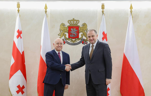 თავდაცვის მინისტრი საქართველოში პოლონეთის ელჩსა და თავდაცვის ატაშეს შეხვდა