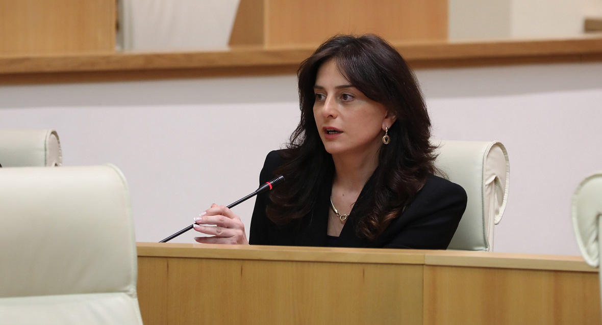 მაია ბითაძე - იმედი მაქვს, მოსახლეობა გაგებით მოეკიდება შინაურ ბინადარ ცხოველთა შესახებ კანონპროექტის მთავარ შინაარსს, რომ მკაცრად დაისაჯოს ყველა, ვინც არაადამიანურად მოეპყრობა ცხოველს