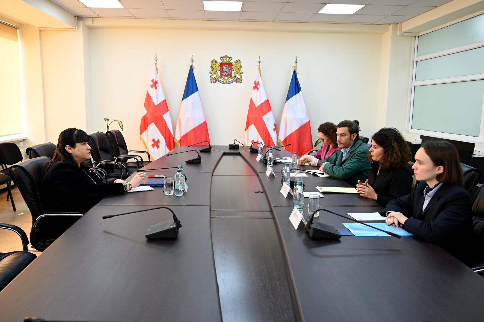 თამარ გაბუნია საქართველოში საფრანგეთის რესპუბლიკის ელჩს შეხვდა