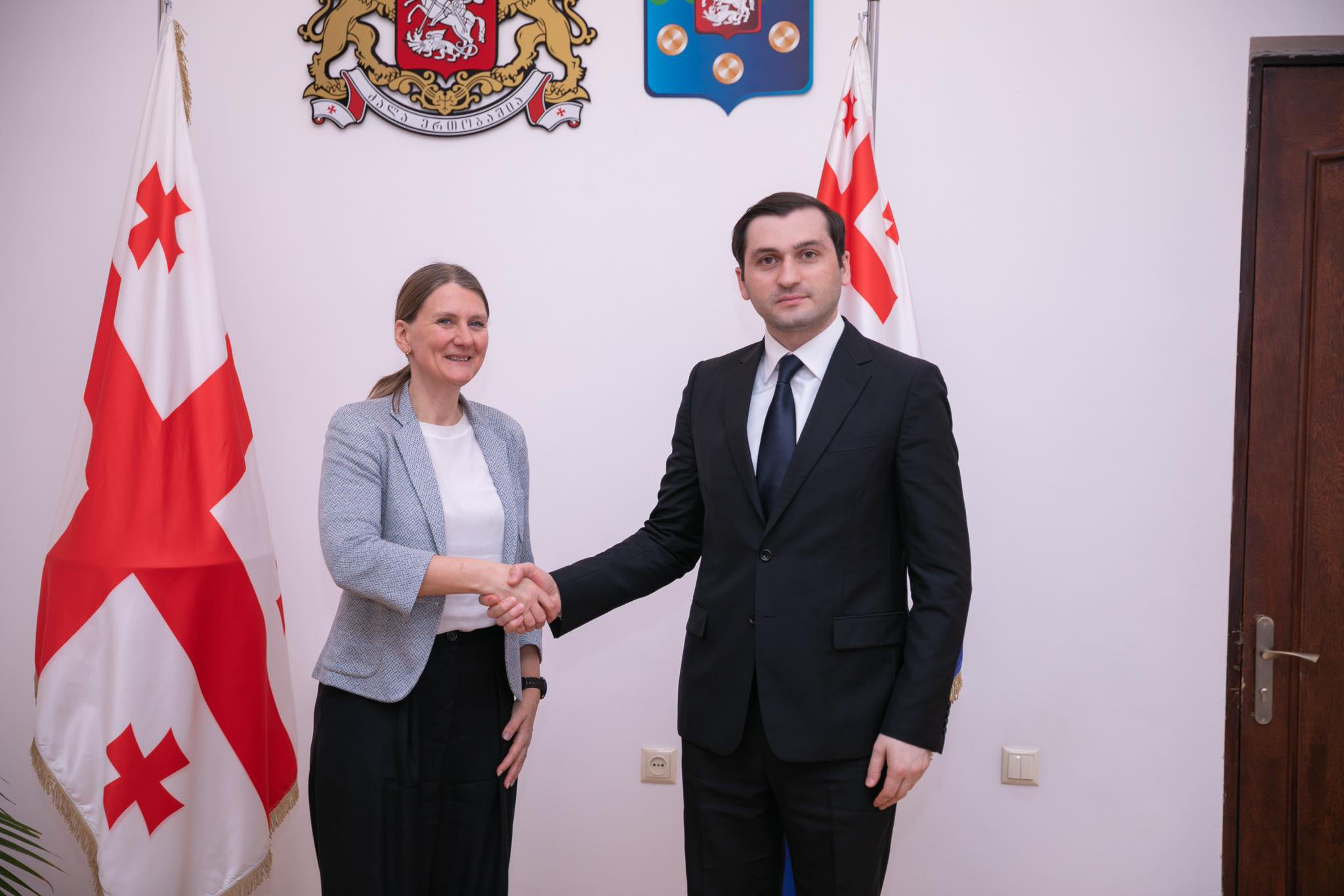 თორნიკე რიჟვაძე შვედეთის ელჩს საქართველოში, ანა ლიბერგს შეხვდა