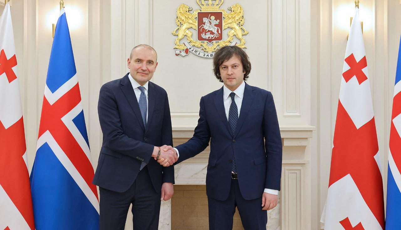 ირაკლი კობახიძე ისლანდიის პრეზიდენტს შეხვდა