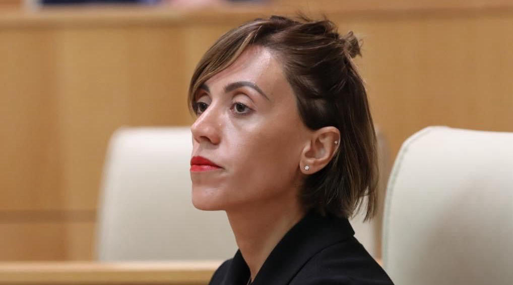 ანა წითლიძე - ივანიშვილის პარტიის მთავარი მიზანი ამ 12 წლის განმავლობაში არასდროს ყოფილა მოქალაქეების რეალურ პრობლემებზე მუშაობა - გვთავაზობს გამოგონილ პრობლემებს და გამოგონილ „მტრის ხატს“