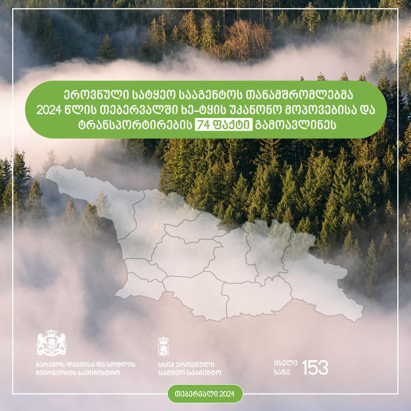 2024 წლის თებერვლის განმავლობაში ხე-ტყის უკანონო მოპოვებისა და ტრანსპორტირების 74 ფაქტი გამოვლინდა