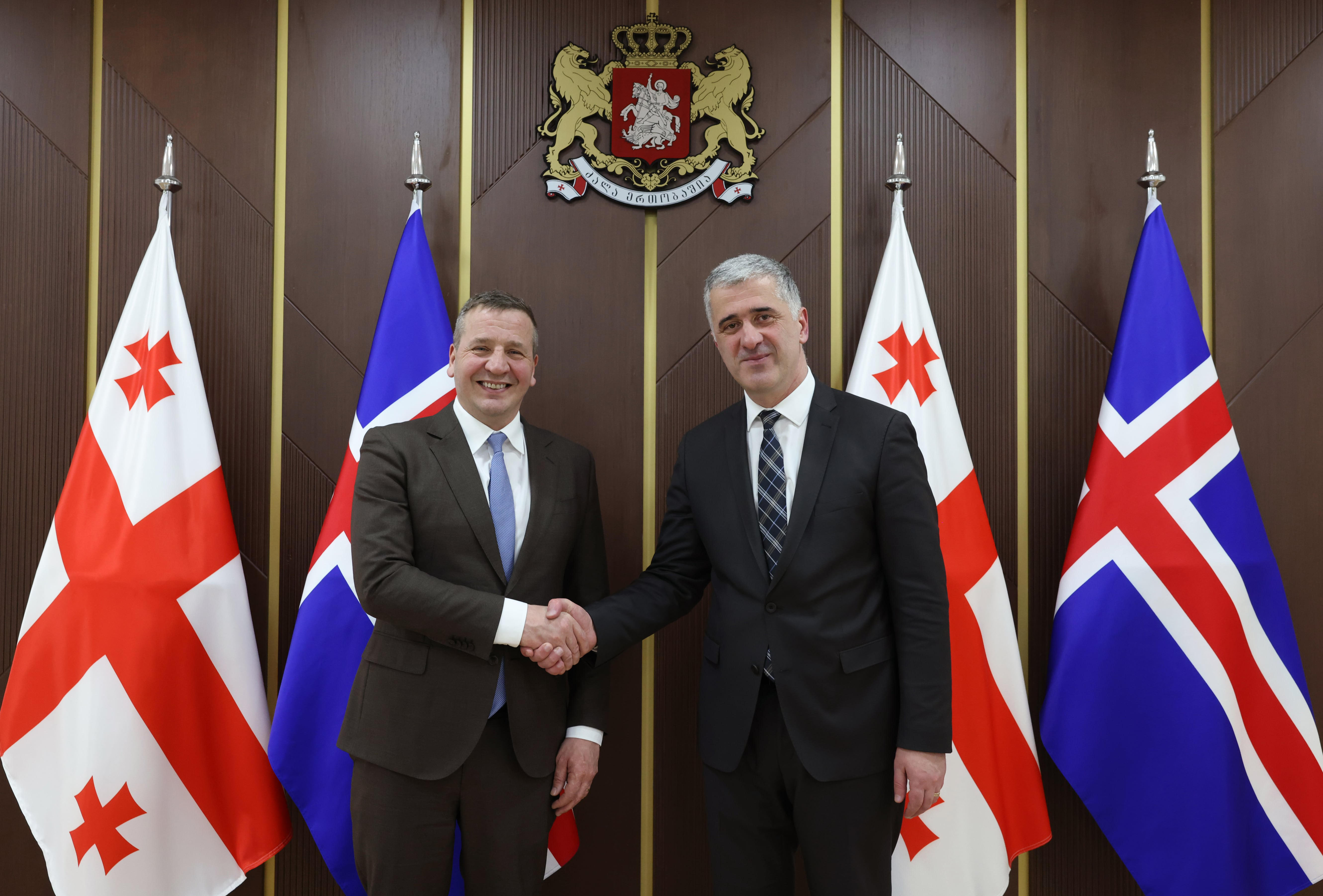 ოთარ შამუგია ისლანდიელ კოლეგას შეხვდა