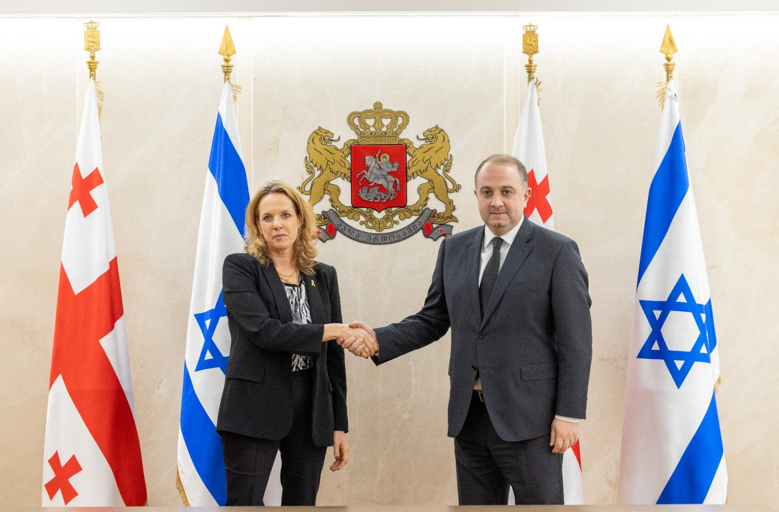 თავდაცვის მინისტრი საქართველოში ისრაელის ელჩს შეხვდა