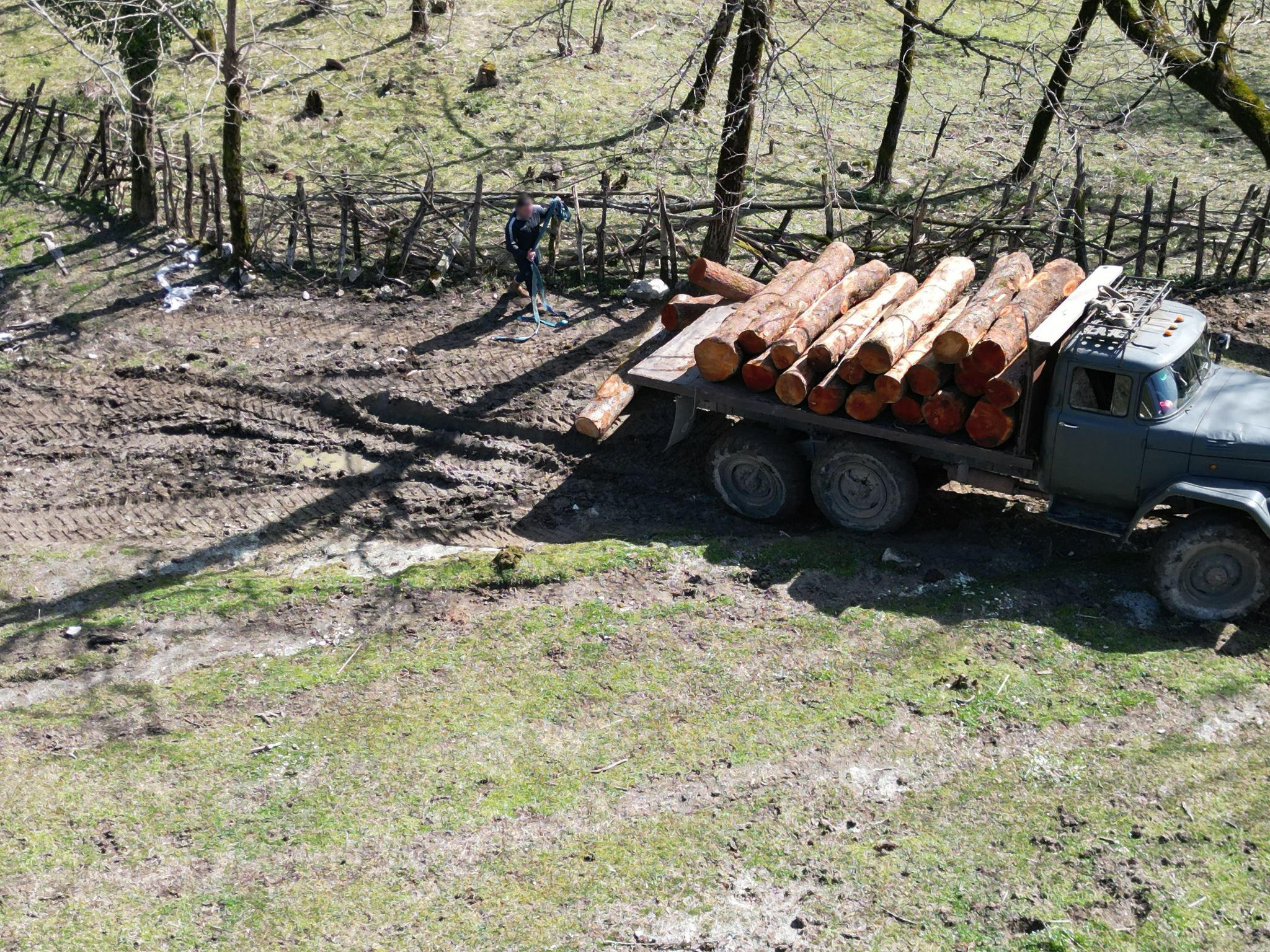 სოფელ ბალდაში უკანონო ტყითსარგებლობის ფაქტი გამოვლინდა
