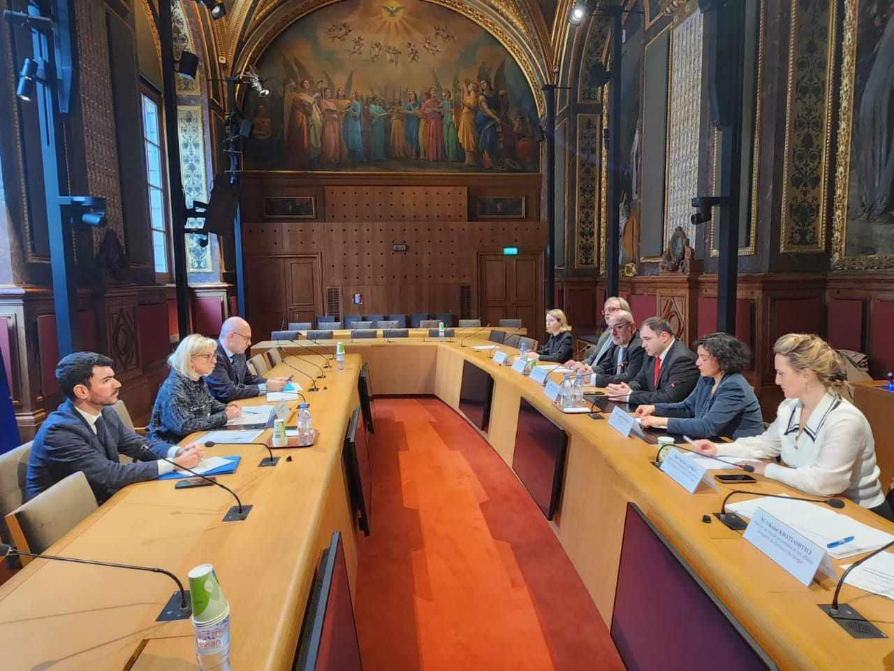 ნიკოლოზ სამხარაძე საფრანგეთის სენატსა და ეროვნულ ასამბლეაში კოლეგებს შეხვდა