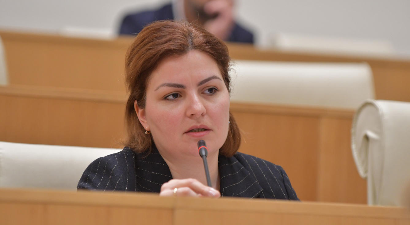 ანა ნაცვლიშვილი - ადამიანები, რომლებიც პოლიციის მხრიდან ჩადენილი სიმხეცის მსხვერპლებს დახმარებას უწევდნენ უცხო ძალის ინტერესის გამტარებელთა რეესტრში შევლენ, ხოლო უკანონო ბრძანებების გამცემლები - არა?!