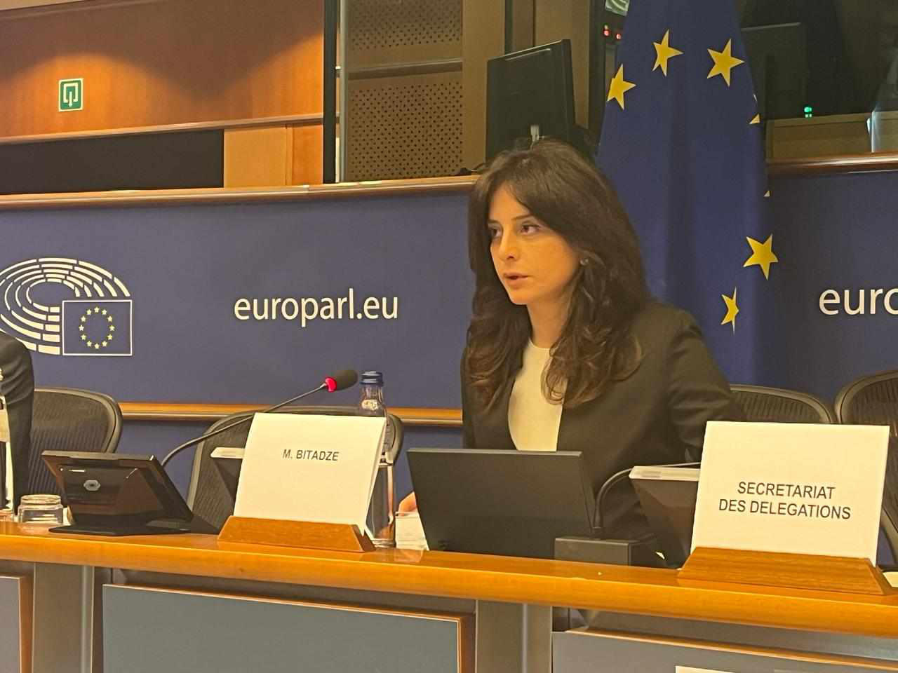 მაია ბითაძემ ევრონესტის საპარლამენტო ასამბლეის ფარგლებში, ენერგეტიკული უსაფრთხოების კომიტეტის სხდომაში მიიღო მონაწილეობა