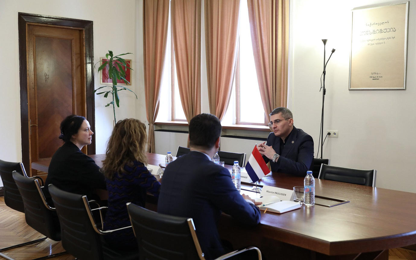 მამუკა მდინარაძე ნიდერლანდების სამეფოს ელჩს შეხვდა