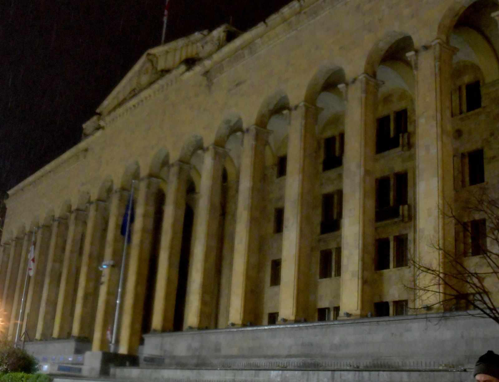 საქართველოს პარლამენტი აქციას  „დედამიწის საათი" შეუერთდნენ